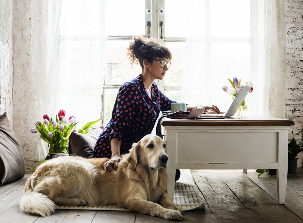 A woman working at a laptop with her golden retriever beside her